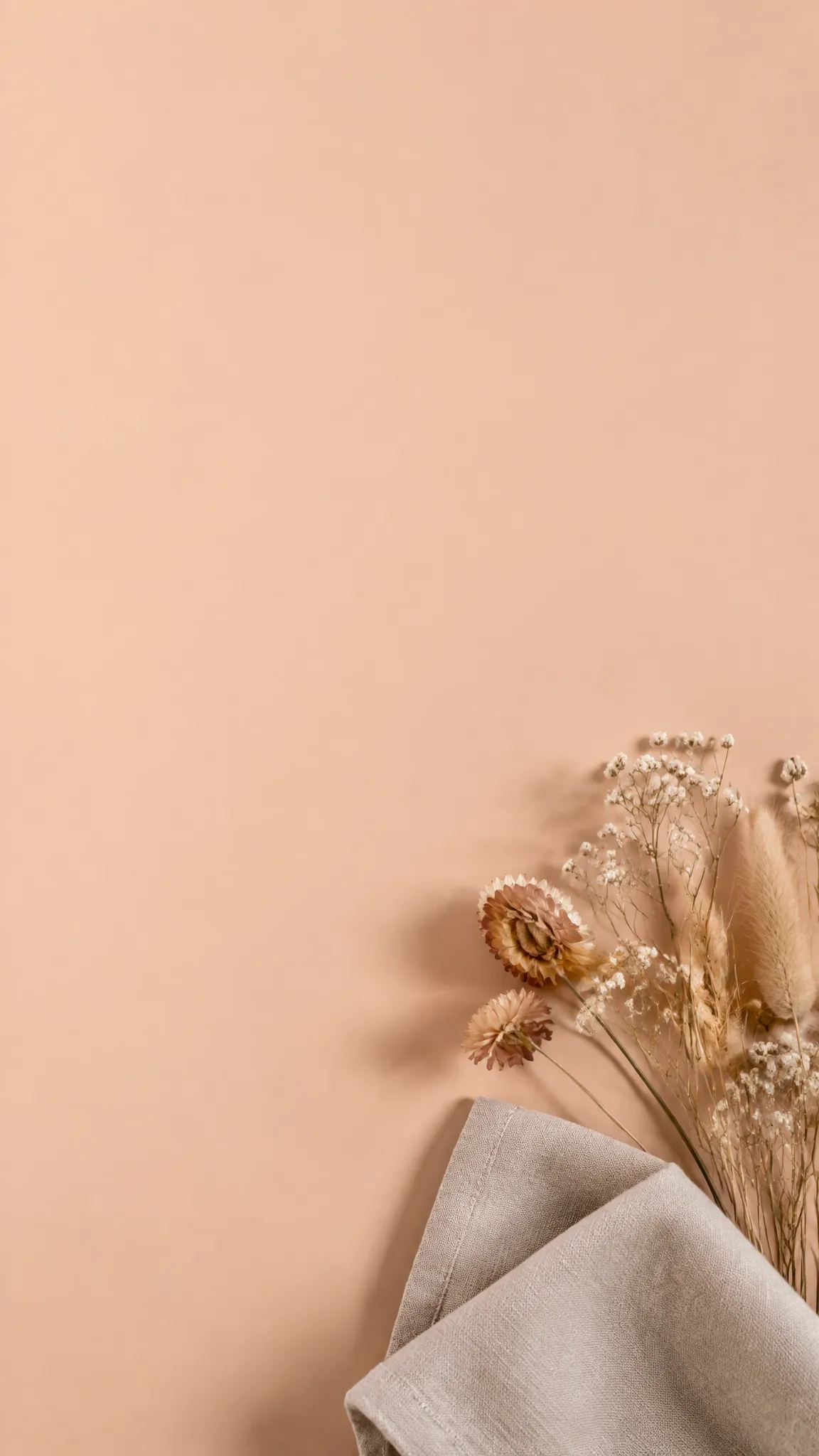 Peach background with dried flowers and open space